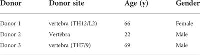 Chondrogenic differentiation of human bone marrow MSCs in osteochondral implants under kinematic mechanical load is dependent on the underlying osteo component